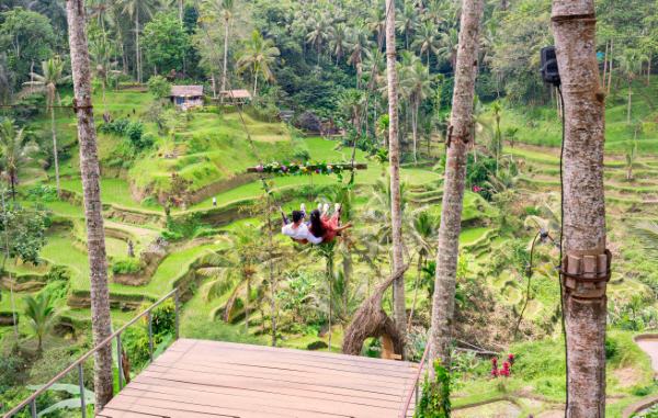 An,Asian,Couple,Sitting,On,Swing,Over,Tegallalang,Rice,Terrace