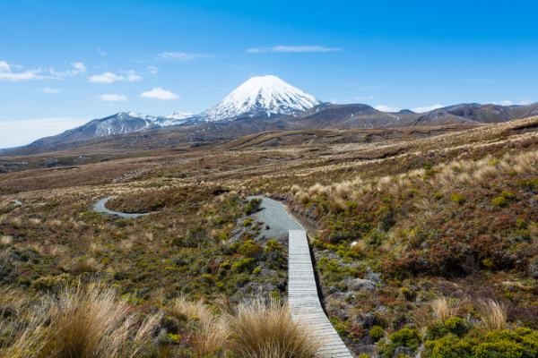 Path,To,Mount,Ruapehu,And,Tama,Lakes,,Tongariro,National,Park,