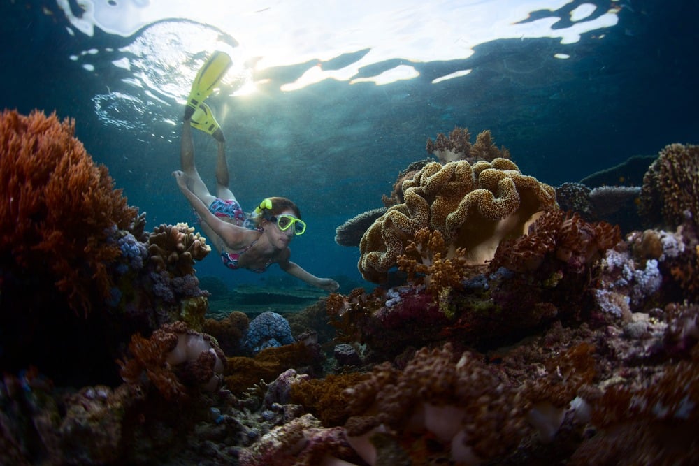 Underwater,Shot,Of,The,Young,Lady,Snorkeling,Over,Vivid,Coral