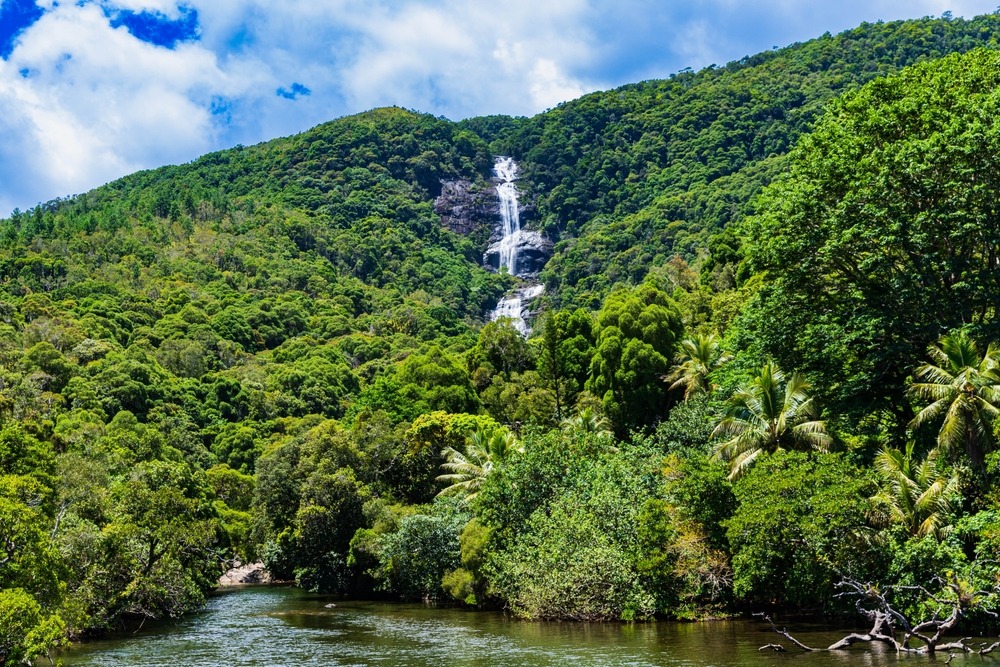 Tao,Waterfall,,Grande,Terre,,New,Caledonia