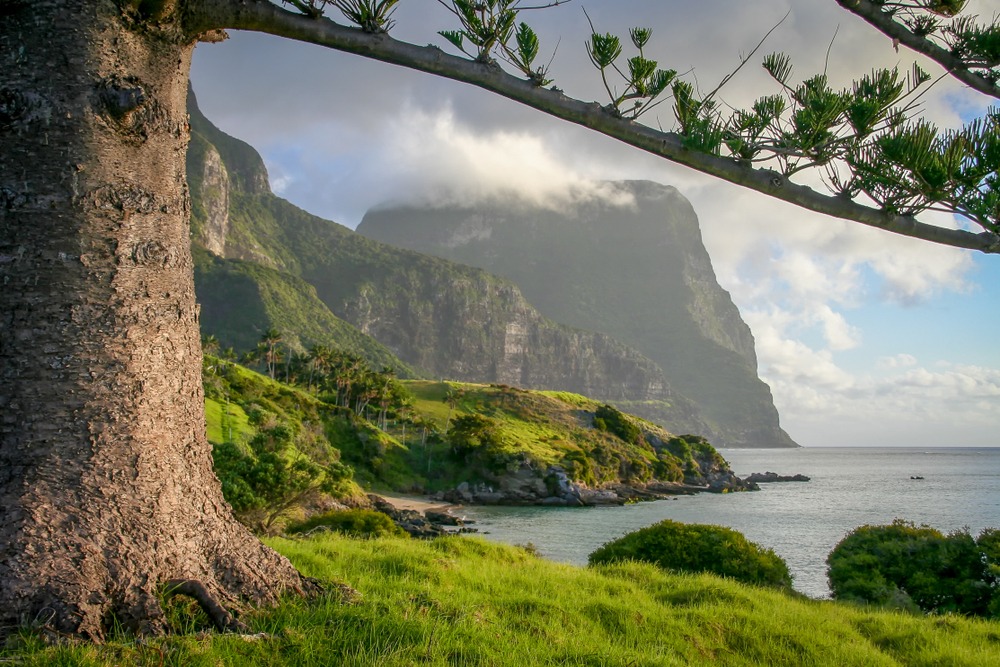 Mt,Gower,,Lord,Howe,Island